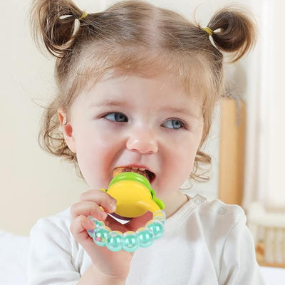 Baby Fruit Feeder