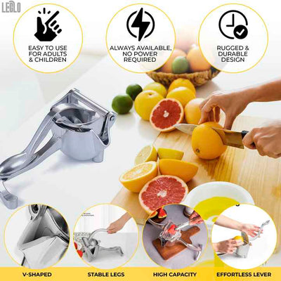 Manual Fruit Press