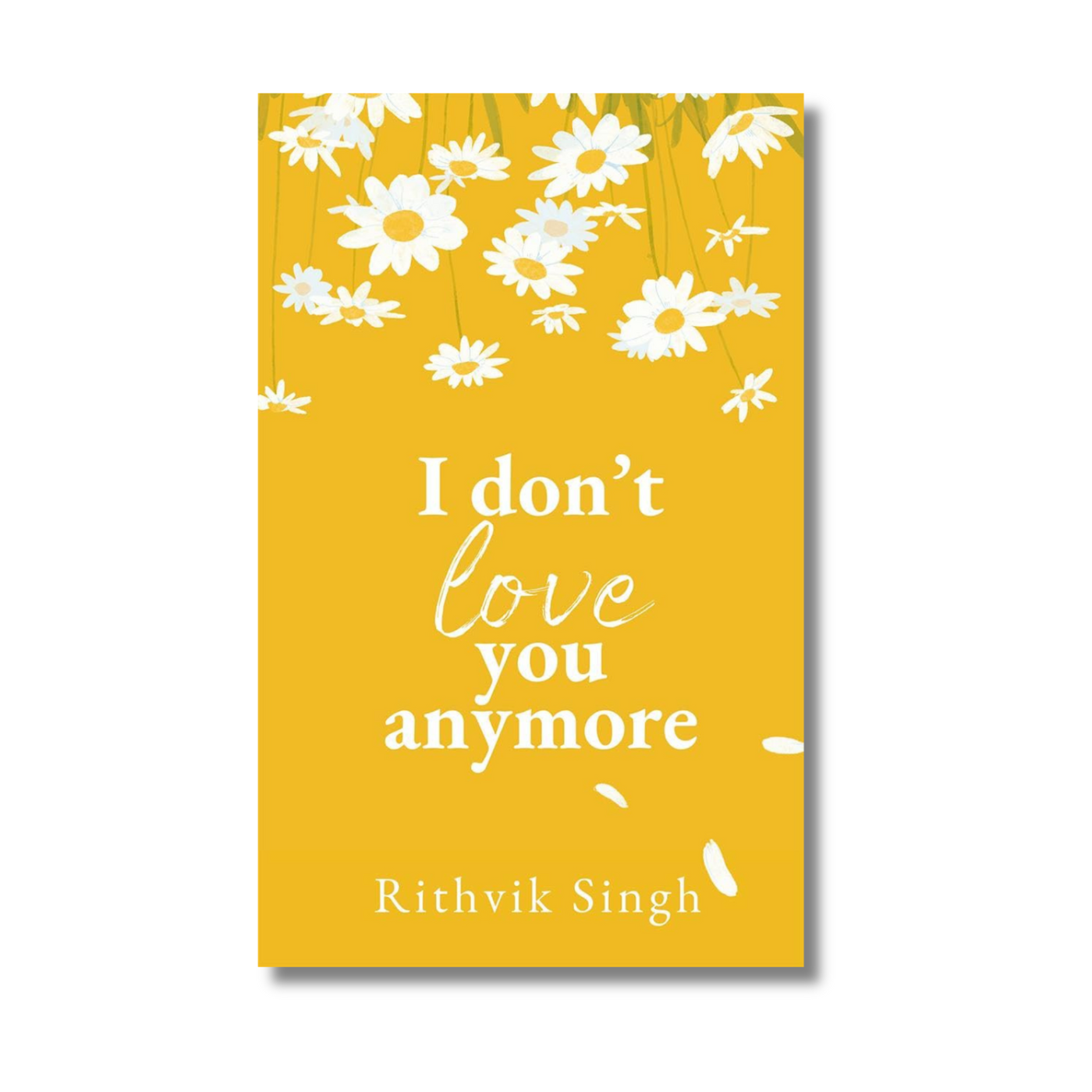 I Don’t Love You Anymore by Rithvik Singh