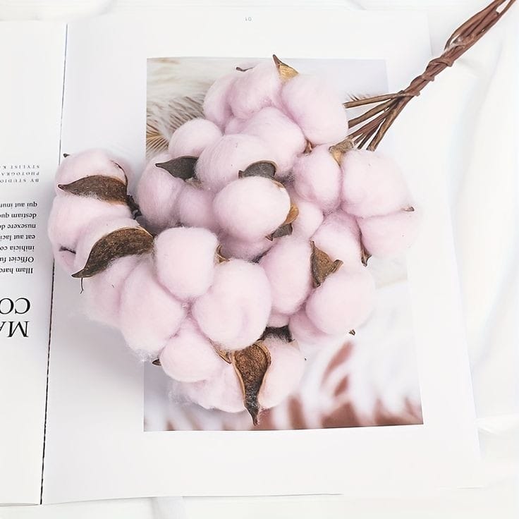Dried Cotton Stems