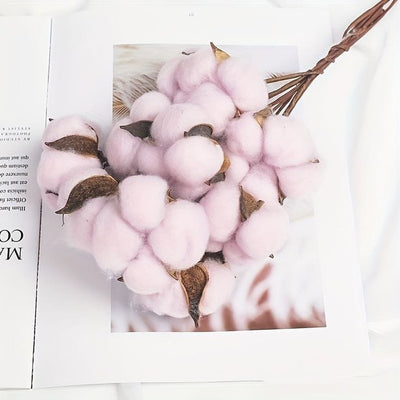 Dried Cotton Stems